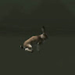 Meet your Posher, Elise h.